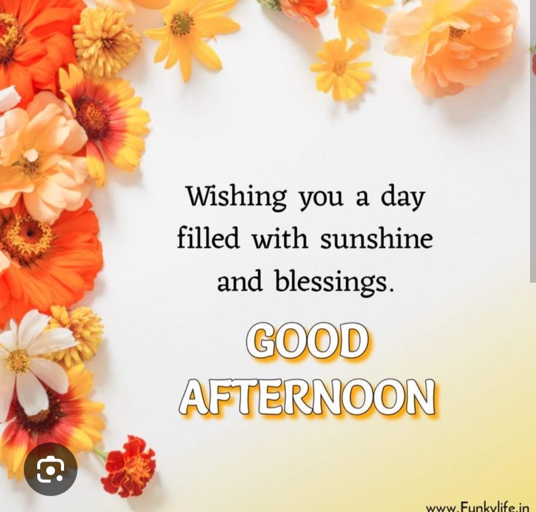 Good afternoon
Wishing you a day filled with sunshine and blessings.