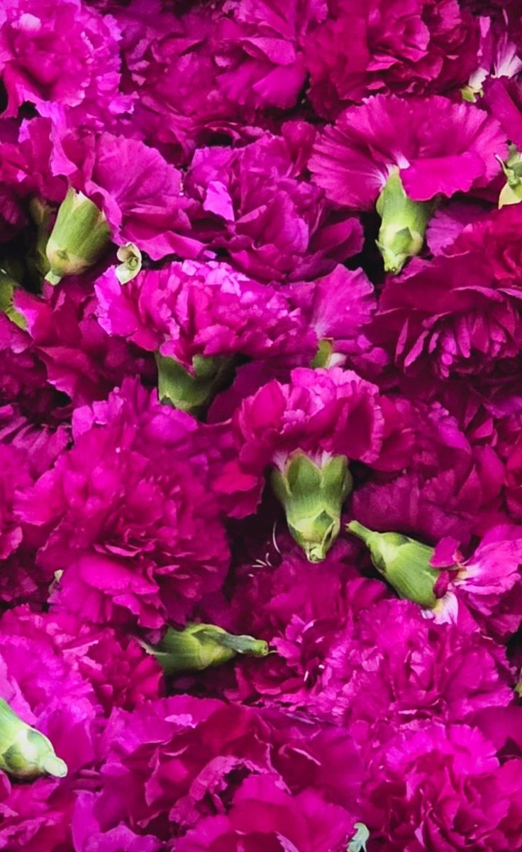 devalverdees's tweet image. Semana Santa..
@rocioromerope color para tu espíritu