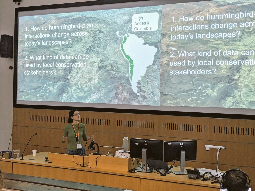 Past few days of #SCCS24 Cambridge packed with so much learning & exchange. This truly is a conference conservation students should not miss! I feel sooo lucky to have shared some of our research on hummingbirds & their role as pollinators in the Andes. @QUADRATdtp @ruffordgrants