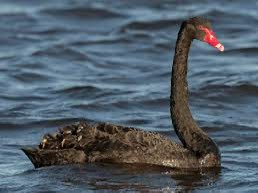 The Secret Accountant tweet media