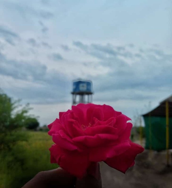 Beautiful Weather ☔🤌♥️