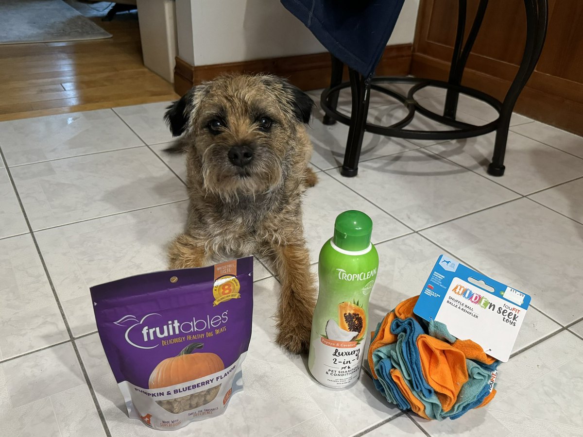 Happy Birthday to me. 😁🎈🎁🎂🎉🥳 7 times around the sun. 😉 I love the snuffle ball and treats, but why buy shampoo? 🤔 #BTPosse #BirthdayBoy #Lucky7