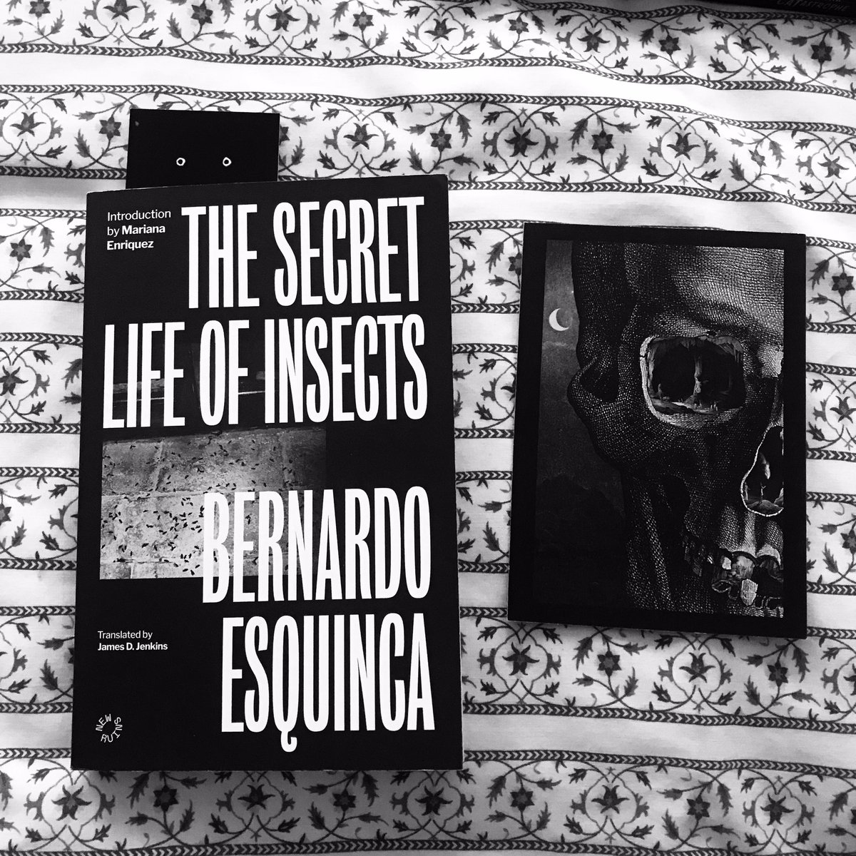 Now That’s What I Call Book Post! Out today, THE SECRET LIFE OF INSECTS by Shirley Jackson Awardee Bernardo Esquinca is an approachable creepy-crawly of a book: literary horror without being too harrowing. Complete w/ awesome artwork by Luis P. Ochando. Gracias @DeadInkBooks