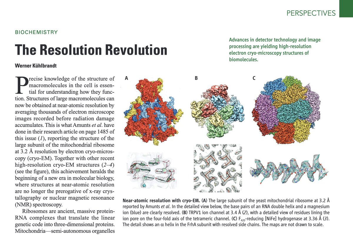 10 years ago @ScienceMagazine published 'The Resolution Revolution' - a perspective on the advent of direct electron detectors. Cryo-EM was soon established as the main method for structural studies. Looking back, remarkable things happened since then🧵 science.org/doi/10.1126/sc…