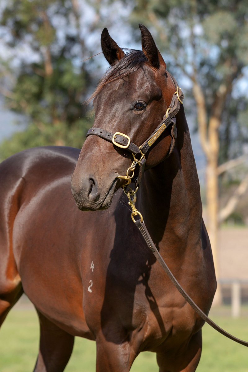 WillowParkStud tweet picture