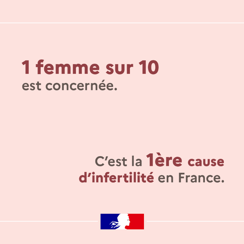 Sante_Gouv's tweet photo. 📅 C'est la journée mondiale de lutte contre l' #endométriose.
Le ministère dévoilera prochainement une campagne de communication autour de cette maladie gynécologique afin de sensibiliser le grand public et mobiliser encore davantage les professionnels de santé ✅