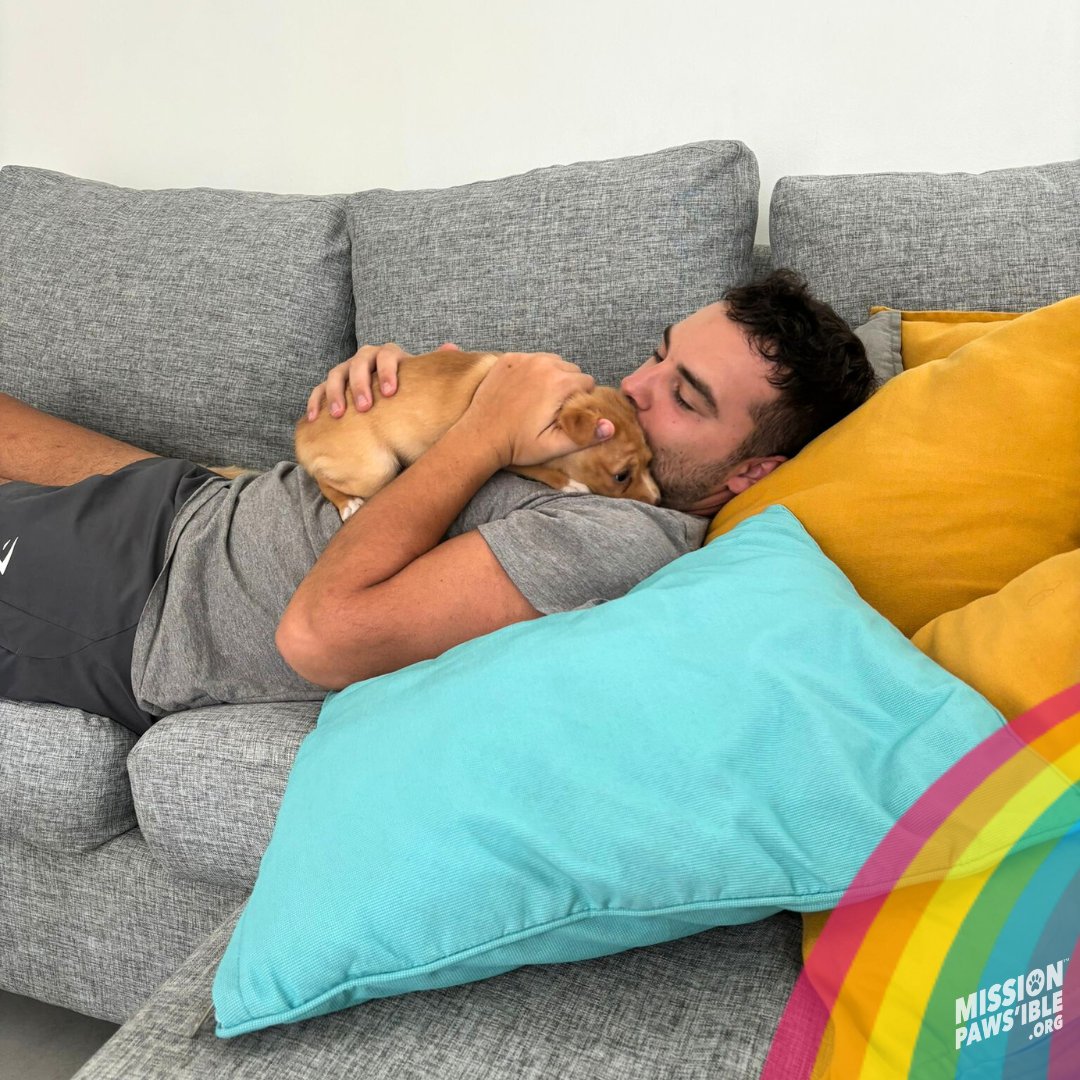 Mission Paws'ible Charity tweet media
