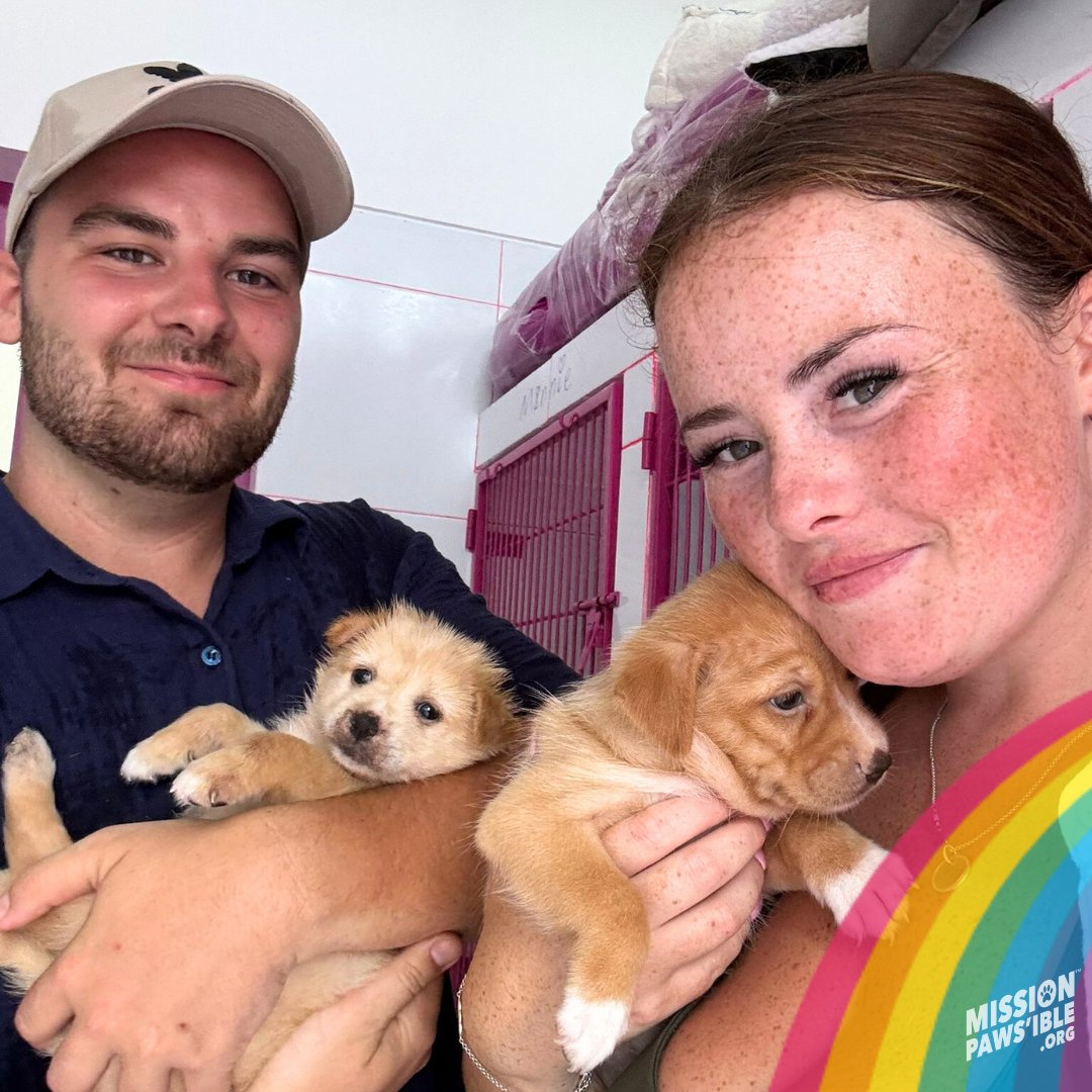 Mission Paws'ible Charity tweet media