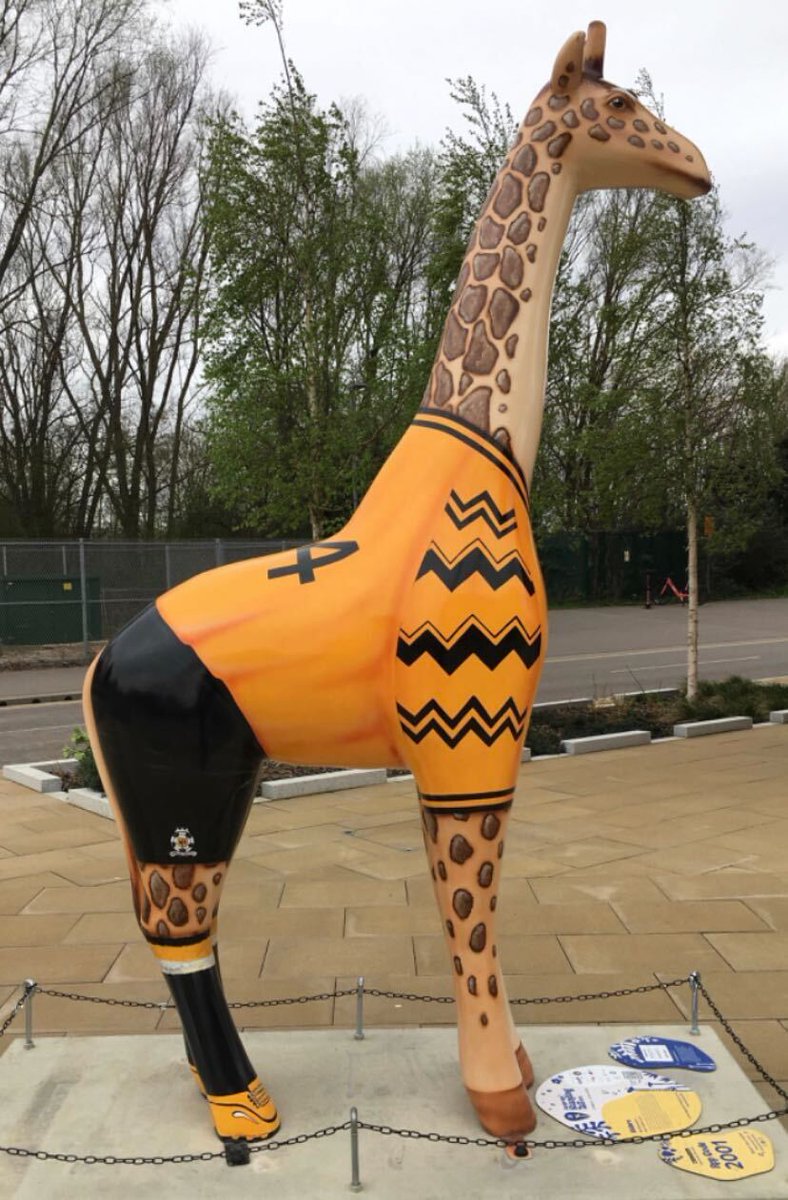 The <a href="/BreakTrailCambs/">Cambridge Standing Tall</a> Standing Tall trail is well underway across #Cambridge 🦒

We spoke to Mik Richardson, the artist behind one of the giraffes here at Cambridge North, to find out more about the <a href="/CambridgeUtdFC/">Cambridge United FC</a> inspired sculpture.

cambridgenorth.co.uk/news/meet-the-…