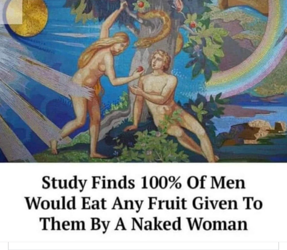 🤍💙✡️ NoDramaLlama until… tweet media