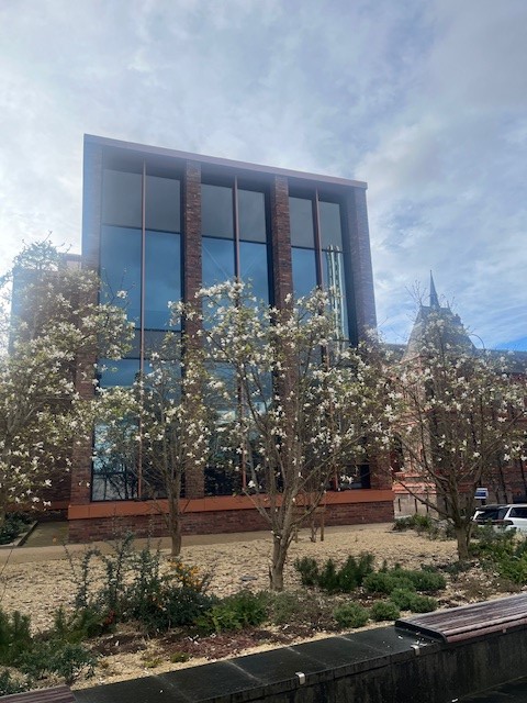 🌺 It is starting to look like Spring at our @DIF_Liverpool offices 🪻