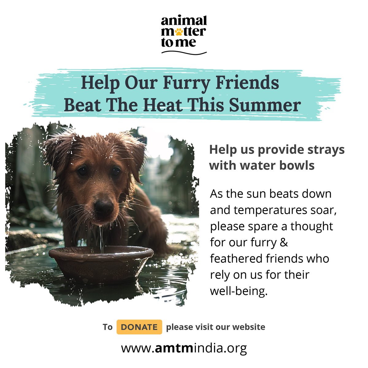 Join us in our #summer mission to provide sufficient water to quench the never-ending thirst of our furry friends! #donate now to help us reach our goal of 1500 water bowls. amtmindia.org/fundraiser/150… #AnimalWelfare