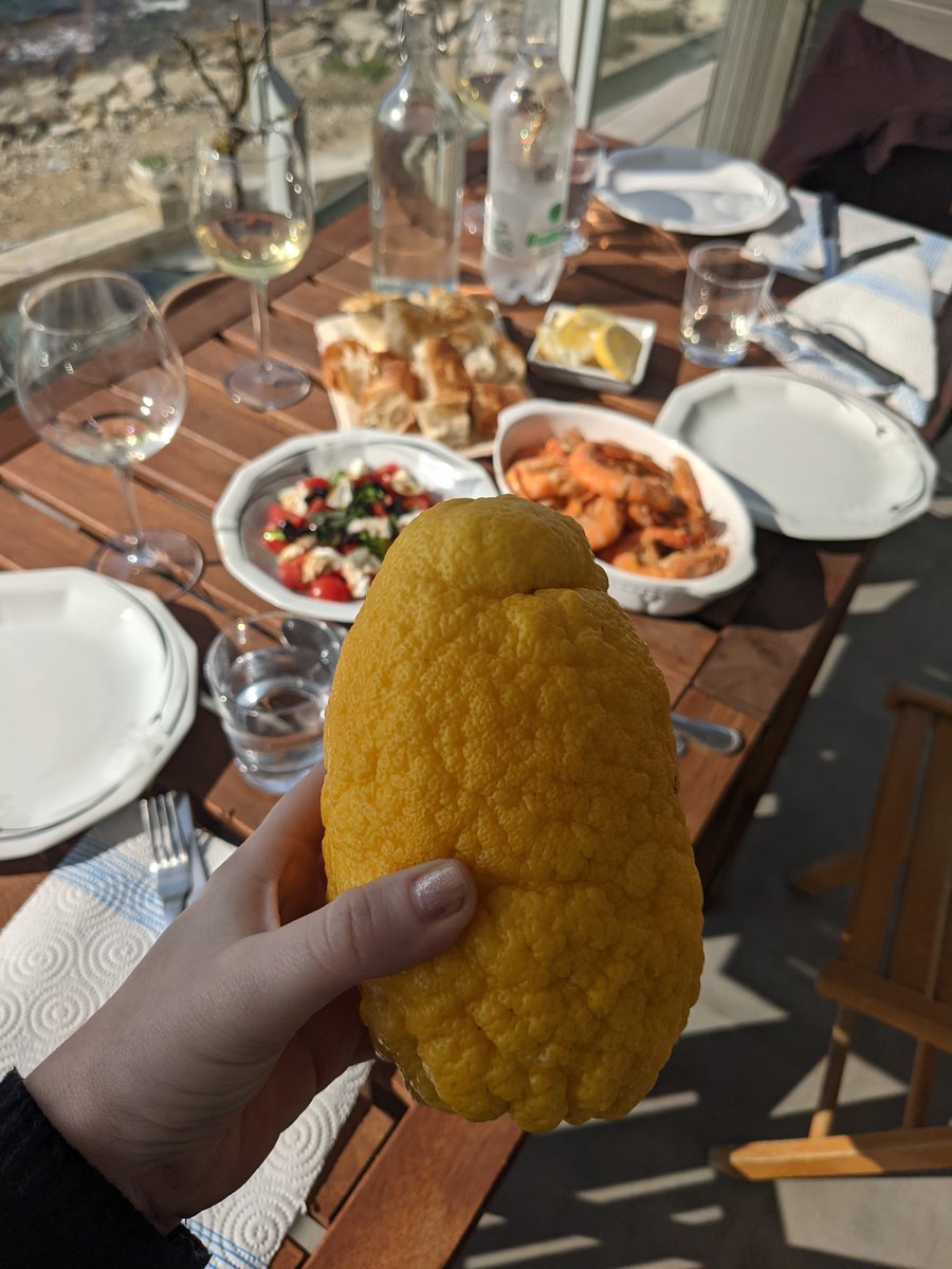 Highlight of a long weekend in Italy? This giant lemon 🍋🍋🍋