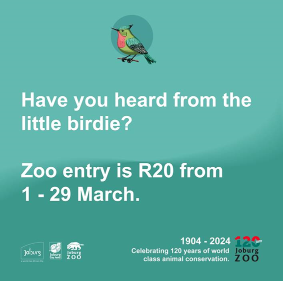 Last call! Only 1 day left to grab your tickets to the Zoo for just R20! Don't miss out on this amazing deal to experience the wonders of the wild up close. Hurry, get your tickets now! #Welcome2Joburg #ZooSpecial #LimitedTimeOffer #WildWonders