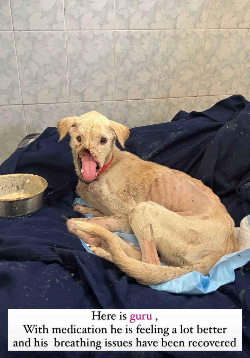 Aryan_HOODL🎯⚡ tweet media