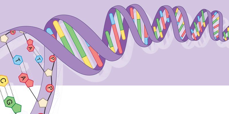 Find out about all the roles that make up clinical genetics departments, the parts they play in the process of diagnosis and how they support people affected by or at risk of developing genetic disorders. buff.ly/3PFAeAG #genomicsconversation