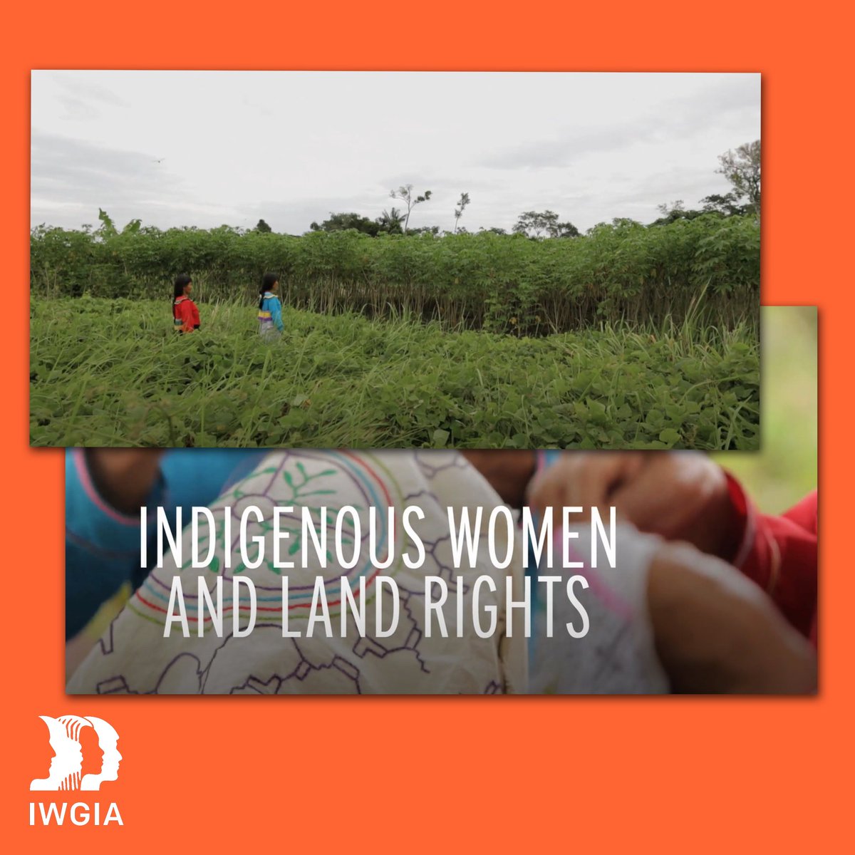 🔙 #TBT Indigenous women and land rights 🎬 This film focuses on #Indigenous women from the Madre de Dios region in #Peru 🇵🇪 and their role in the community in connection to land, culture & traditional knowledge. Watch here 👉 bit.ly/3Hvjo3d #IndigenousPeoples