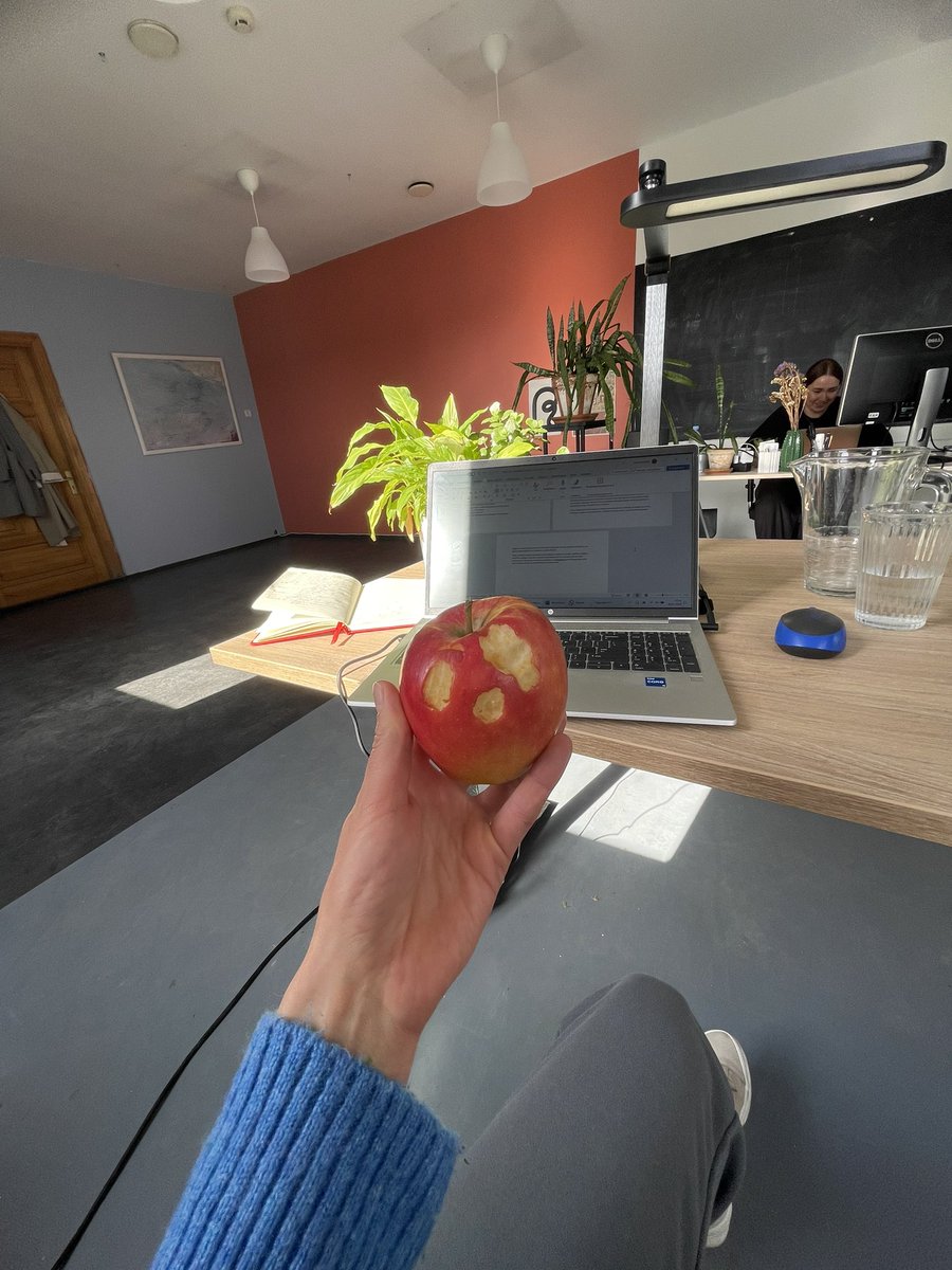 No rīta bērns ir veicis somas revīziju un pārbaudījis vai mammas ābolīts ir gana labs👌🏻