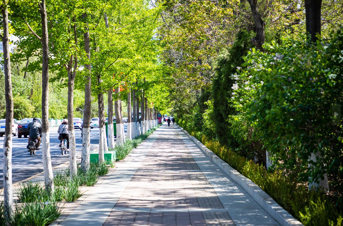 Google Street View reveals how built environment correlates with risk of #CVD bit.ly/49fzlpF #HeartHealth #HealthPrevention @ESC_journals