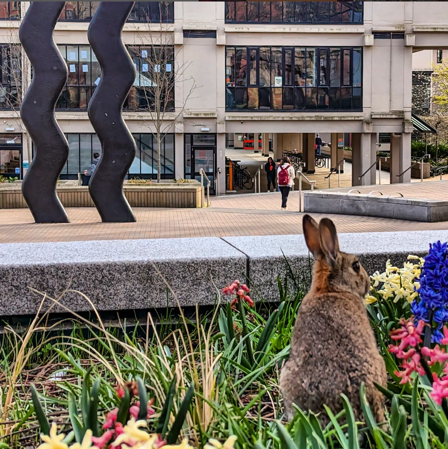 Leeds University Business School will be closed from today for the Easter holidays. We will reopen on Wednesday 3rd of April. We would like to take this opportunity to wish all our LUBS community a happy Easter!