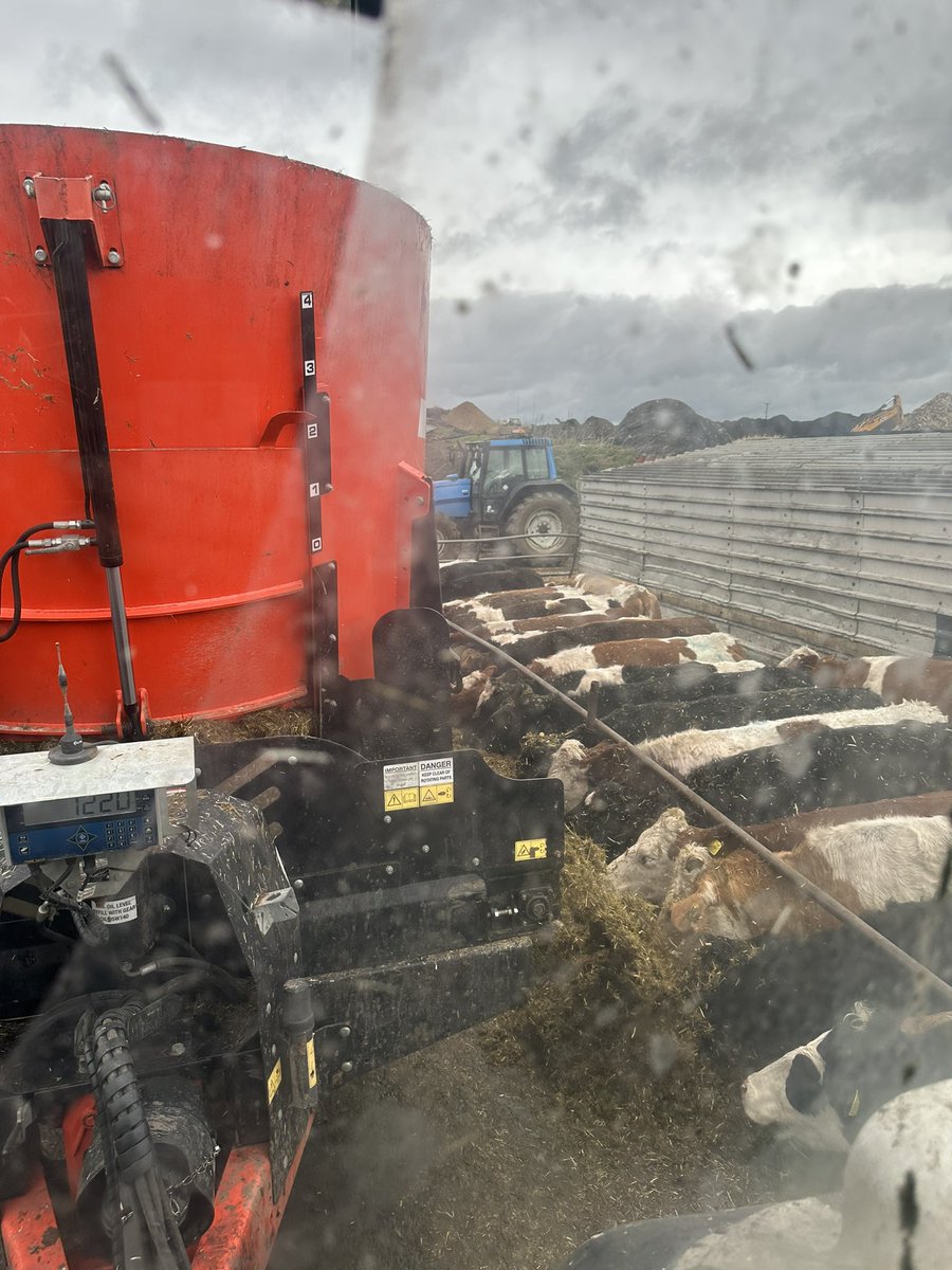 It’s always great to visit students over in Northumberland. Harry is completing his Level 2 general farm worker on his family dairy farm in Hexham. Harry showed brilliant skills in formulating a TMR for the cattle as well as safely using the straw blower to bed young stock.