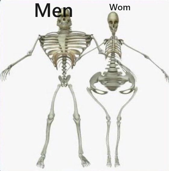 KrystalWolfyAlt's tweet photo. This is how transphobes think human bones look like https://t.co/MJpsqQG7Cz