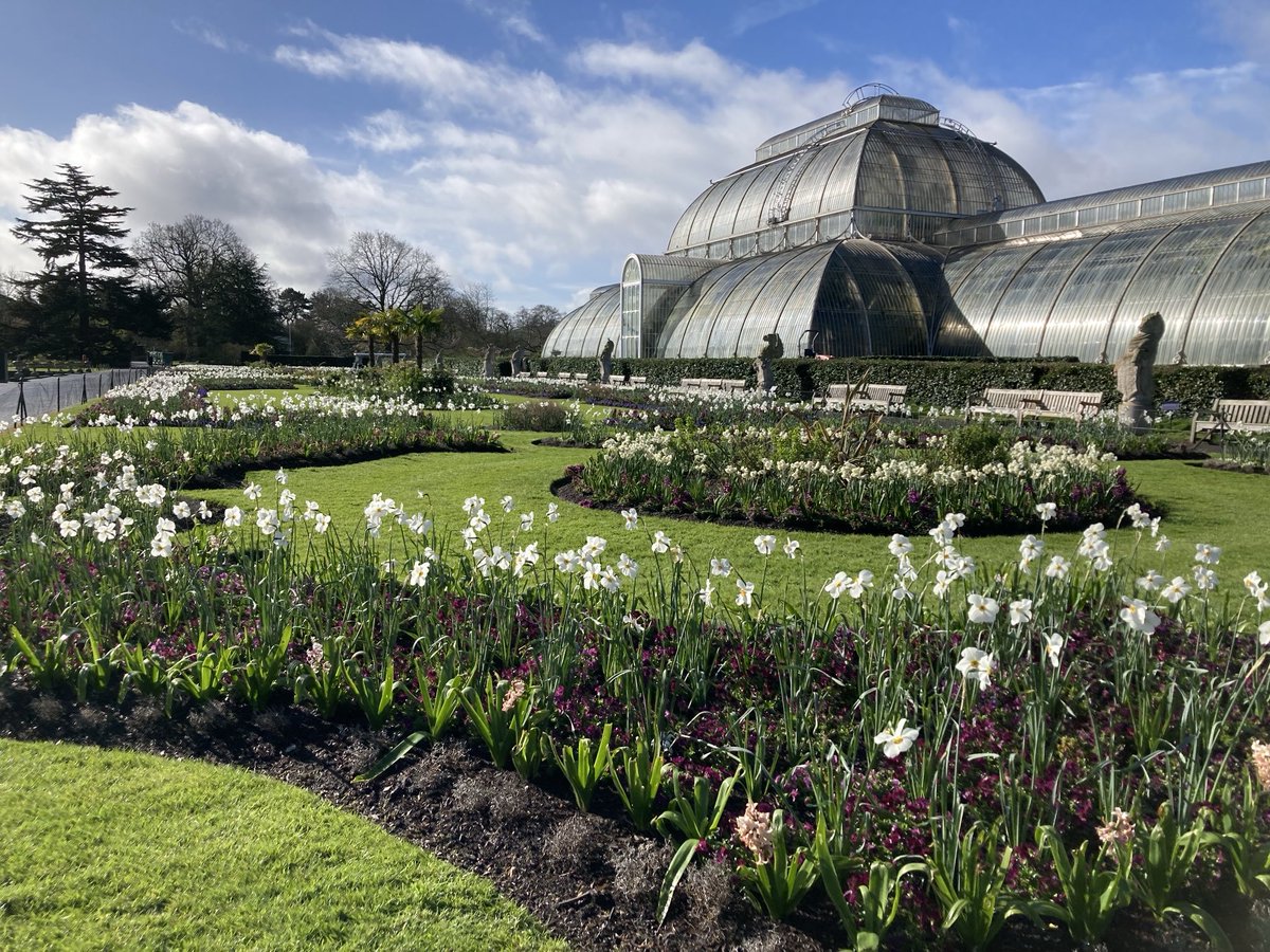 Glorious morning ⁦@kewgardens⁩