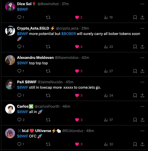 BoberWifHat $BWIF tweet media