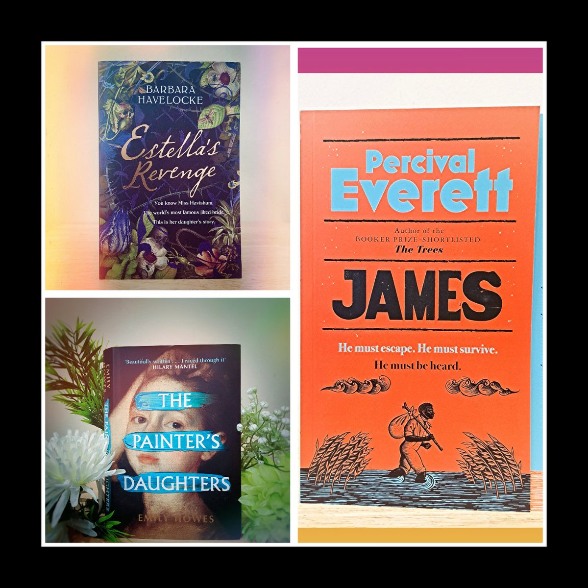 3 of my favourite books of the year so far. I think I'm entering my historical era: 

#James by Percival Everett

#EstellasRevenge by @BCopperthwait

 #ThePaintersDaughters by @EmilyHthinks