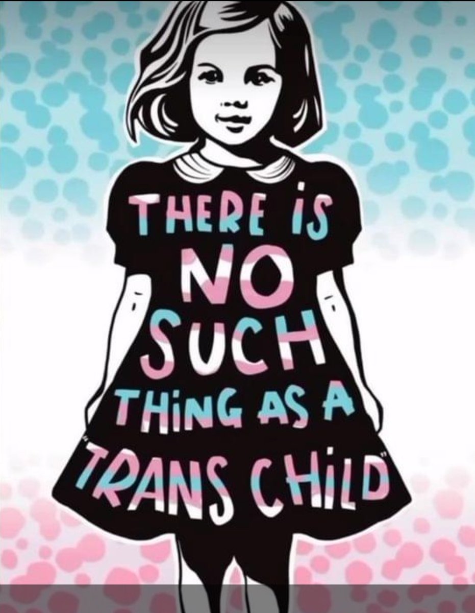 There is no such thing as a Trans Child…but there is unfortunately such a thing as adults who would destroy a child’s future…their life, to satisfy their need to affirm their ideology and be part of a gender identity cult. 👊 #LETKIDSBEKIDS #LEAVEKIDSALONE