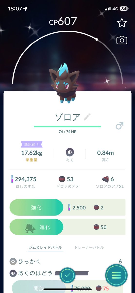 tipsofcoffee's tweet image. ゾロア色違いギターー！！
かわいいぞ！！