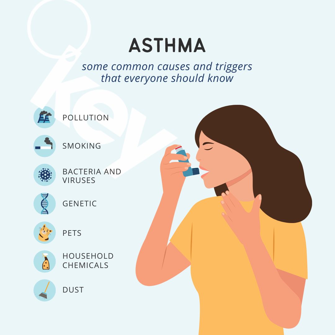 Children and young people can now download The Digital Health Passport.  It is a new Asthma app that can help them manage their condition better.  

The app can be downloaded here: digitalhealthpassport.co

<a href="/fhwbconsortium/">Spring North</a> <a href="/AllergyAsthmaHQ/">Allergy & Asthma Network</a> <a href="/asthmalunguk/">Asthma + Lung UK</a>