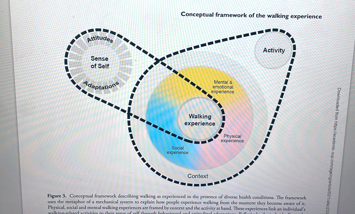 Excellent journal club this morning from @lloydevansp @CersResearch @UoLRespSci meta-ethnography and review on walking experience in patients with chronic conditions @ladelgadoortiz @Age_and_Ageing ncbi.nlm.nih.gov/pmc/articles/P… @Mobilise_D