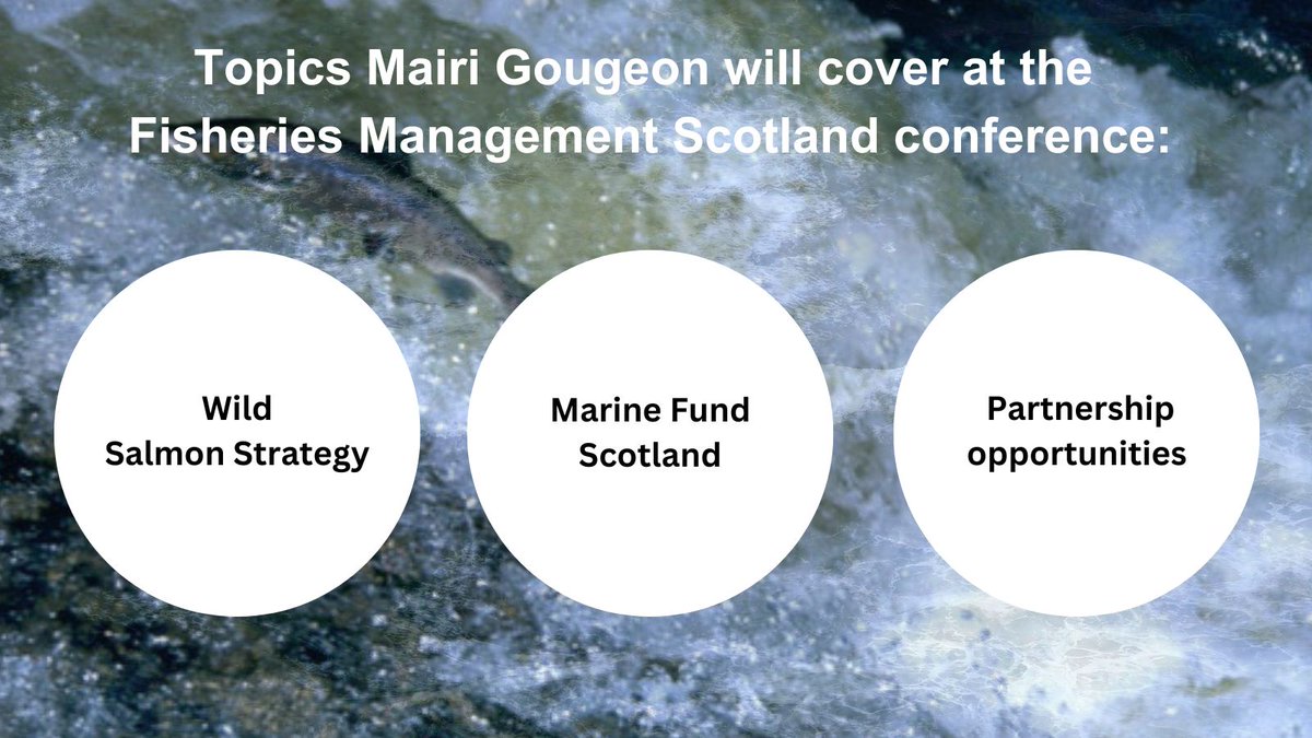 Rural Affairs Secretary @MairiGougeon will open @fms_scotland conference in Aviemore today, followed by a Q&A. This year’s theme is ‘Cold, Clean Water – Steering the Future for Scotland’s Rivers’ - important in supporting wild salmon, biodiversity and future solutions.