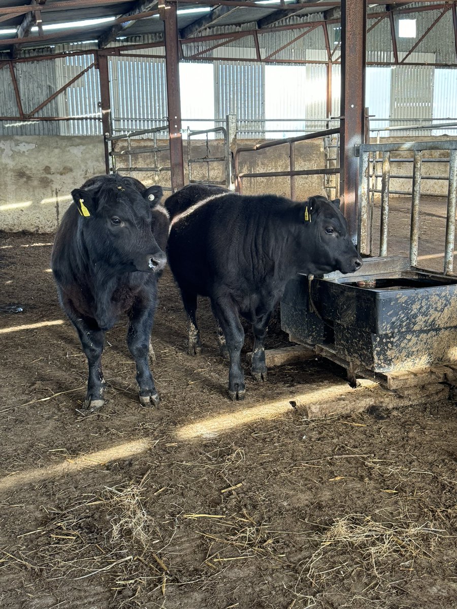 Pat Quirke tweet media