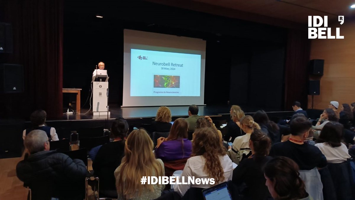 👩🏼‍🔬🗣️“La ciència és resultat d’un esforç col·lectiu: com millor coneguem la feina dels investigadors del nostre entorn, més força tindrà la nostra recerca💪🏼” comenten els organitzadors de l'última edició del NeuroBell #Retreat

📰Llegeix la notícia: idibell.cat/2024/03/se-cel…