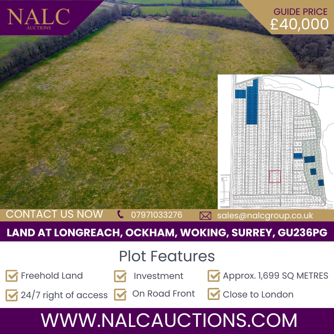 #landforsale #landinvestment #land #auctioneers #auctionlot #plotofland #nalcauctions #ockham #surrey
