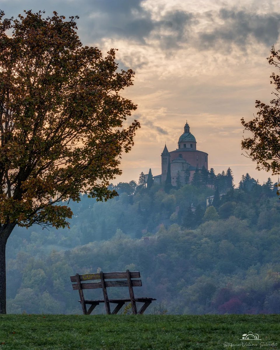 Passeggiando per Parco San Pellegrino, sullo sfondo una placida Basilica di San Luca 📸
Ph. picbysteph_94 | #inEmiliaRomagna #Bologna