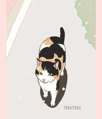 「 #猫好き #illustration #オリジナルイラスト  」|TEKUTEKUのイラスト
