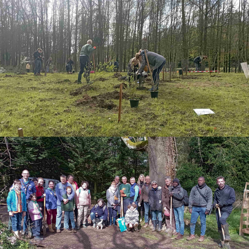 🌳300 arbres plantés à Jouy-en-Josas dans les #Yvelines. Un grand bravo à l'Association de Sauvegarde des Etangs de la Miniére (ASEM) et aux 45 personnes qui ont à bêché, planté, tapé les piquets samedi dernier.