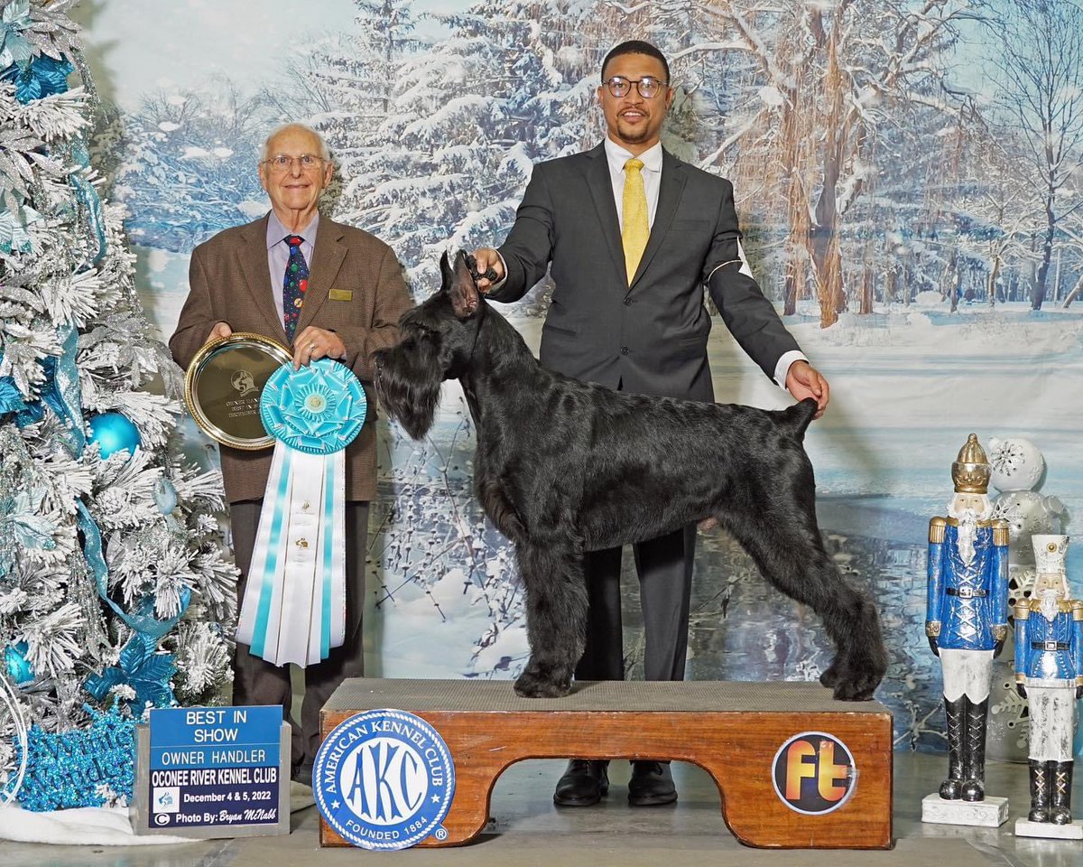 IamN4RED's tweet photo. MBISOH GCH CH Fanta C Khief onxy Frazier 
Not just a Groomer
I’m an owners handler in the akc this is my dog Khief. https://t.co/Cy6eyVHx7I