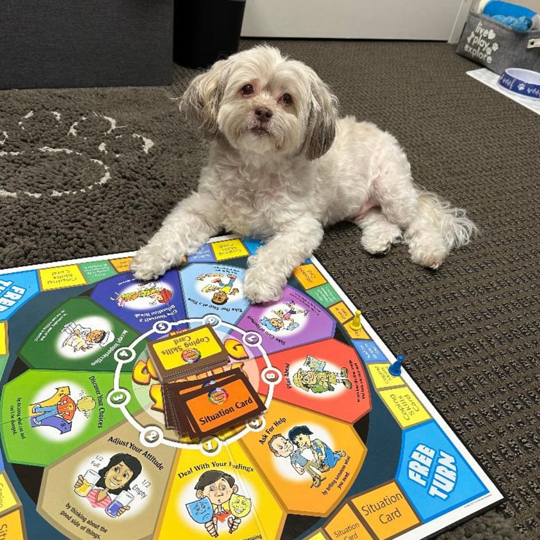 Meet Willie, a therapy assistant pup! Willie enjoys traveling around with his mom, Ana, and helps children feel more comfortable during their sessions. We are thankful and grateful to have them on our team!
.
#therapy #mentalhealth #therapydog #childmentalhealth #counseling #m...