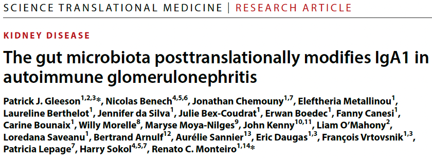 Harry Sokol (@h_sokol) on Twitter photo Very pleased to see this paper on the role of the gut microbiota in IgA nephropathy published in <a href="/ScienceTM/">Science Translational Medicine</a>!
It was a pleasure to contribute to this study coordinated by R Monteiro and <a href="/_JamesGleeson/">James Gleeson</a>!
science.org/doi/10.1126/sc…
<a href="/inserm/">Inserm</a> <a href="/Sorbonne_Univ_/">Sorbonne Université</a> <a href="/univ_paris_cite/">Université Paris Cité</a>
#Thread 1/11 Very pleased to see this paper on the role of the gut microbiota in IgA nephropathy published in <a href="/ScienceTM/">Science Translational Medicine</a>!
It was a pleasure to contribute to this study coordinated by R Monteiro and <a href="/_JamesGleeson/">James Gleeson</a>!
science.org/doi/10.1126/sc…
<a href="/inserm/">Inserm</a> <a href="/Sorbonne_Univ_/">Sorbonne Université</a> <a href="/univ_paris_cite/">Université Paris Cité</a>
#Thread 1/11