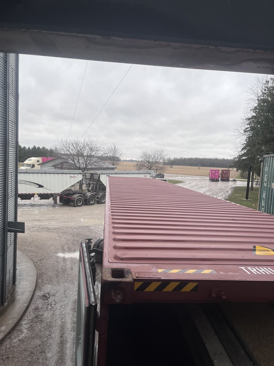 TonyDeblock's tweet image. ISO of soybeans in the Huron Perth area can be picked up on farm or delivered to Bornholm. Dm or call me at (519) 301-7716 for more details thanks.