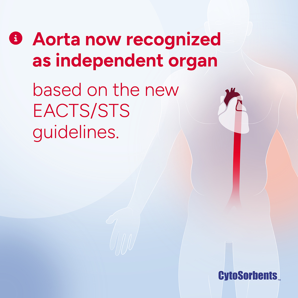 CytoSorbents's tweet photo. 📢 New guidelines elevate status of aorta to human organ. 📢

Learn more about the new classification and visit 
👉 https://t.co/hOREcemeMg

#CytoSorbents # #HealthcareUpdate #AorticSurgery #CytoSorb https://t.co/8mgPPvCtzx