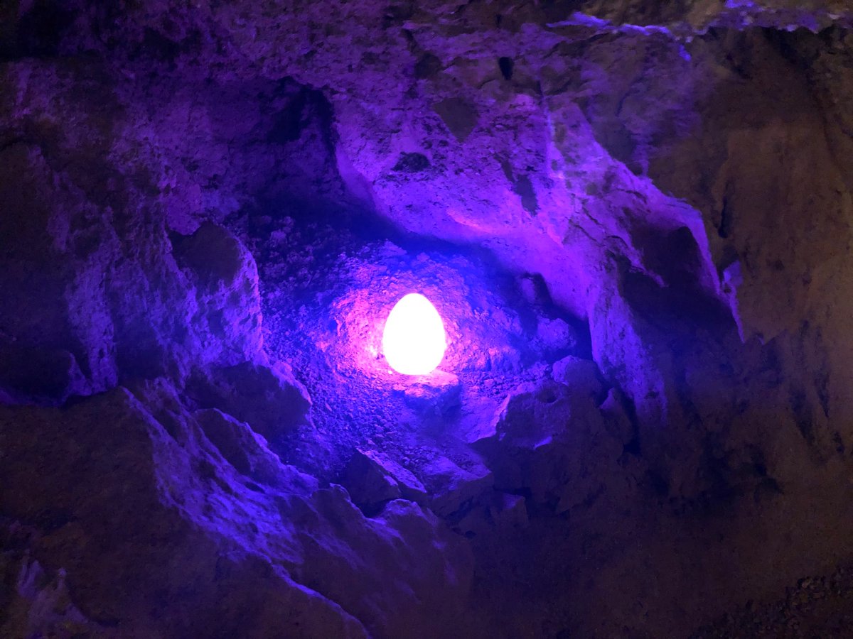 Easter Egglow starts tomorrow and the glowing eggs are up! Don't they look fabulous? 🥚
✨As one of our fantastic guides leads you through the cave see how many glowing eggs you can find and you might just earn yourself a seasonal treat! 🎉  Book here: kents-cavern.co.uk/events/detail/…