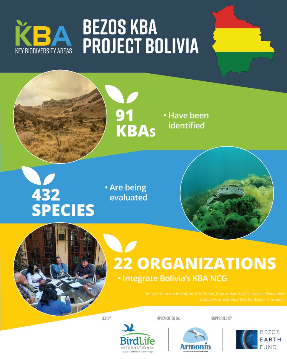 Discover the results (to date) of the Bezos KBA Project in Bolivia 🇧🇴 🌱91 KBAs identified 🌱432 trigger species evaluated 🌱22 organizations involved in the KBA National Coordination Group Implemented by @armonia_bolivia Led by @BirdLifeAmerica Funded by @BezosEarthFund