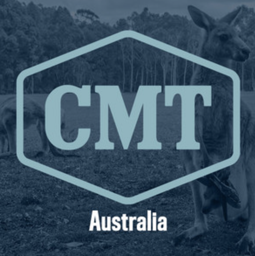 MDM Recordings tweet media