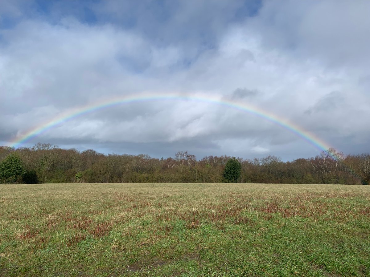 BCConservators's tweet photo. "Somewhere over the rainbow, way up high"
You might not believe it but the sun has appeared briefly today - we have evidence!
Annmarie our volunteer livestock monitor captured this fabulous photograph of a vibrant rainbow over #BansteadDowns
#SSSI #Chalkdownland https://t.co/asJyUhaKaS