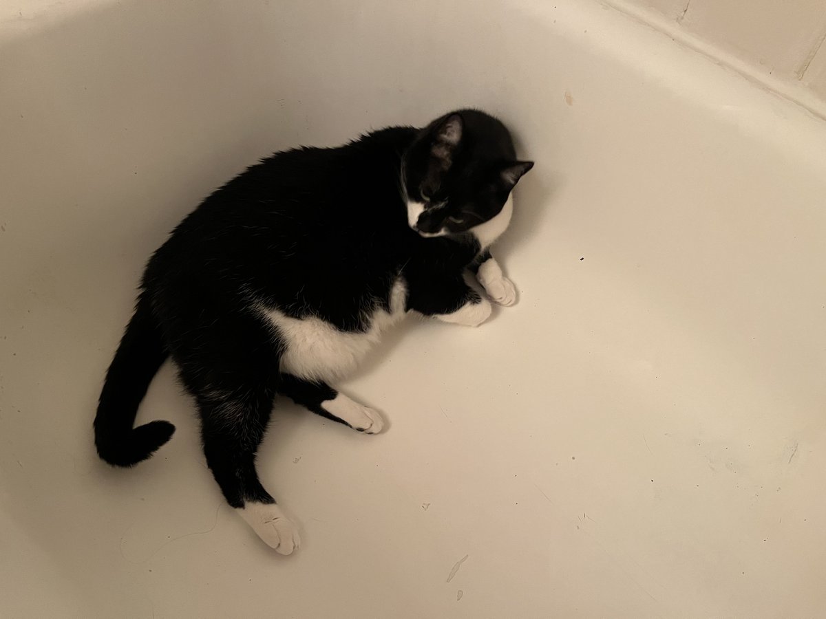 I am cleaning myself in the tub. That is how it works, right?
